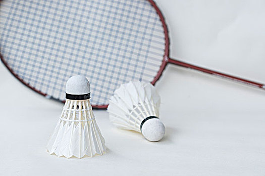 背后的努力 背后的努力