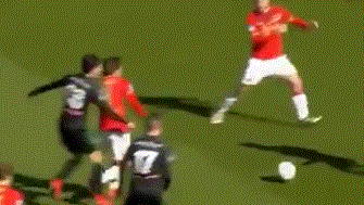 这些视频都 这些视频都